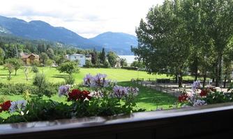 A picturesque landscape with blooming flowers and green meadows. In the background, mountains and a lake can be seen.