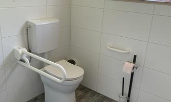 A modern bathroom with a toilet and grab bars. There is a window area with plants and a toilet paper holder.