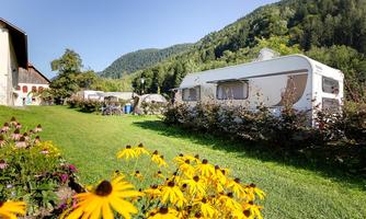 A cozy campsite with RVs and colorful flowers in the foreground. In the background, green mountains and a blue sky can be seen.