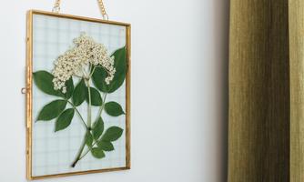 A framed herbarium with dry flowers and leaves. It hangs on a wall and has a modern, minimalist style.