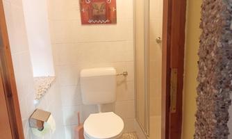 A small bathroom with a toilet and a shower. Decorative pictures hang on the wall, and the floor is tiled.