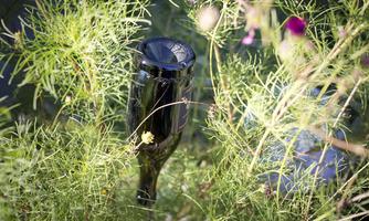 An elegant black garden stake is surrounded by lush greenery and colorful flowers. The image conveys a calm and natural atmosphere.
