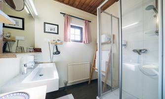 A bright bathroom with a shower and a modern sink. The wooden ceiling and windows create a friendly atmosphere.
