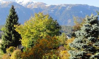 Gartenblick