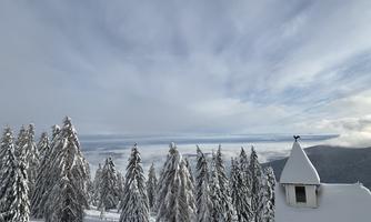 A wintry view of snow-covered fir trees and a cloudy sky. In the foreground, a small building with a pointed roof is visible.