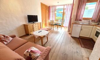 A bright living room with a comfortable sofa and a television. The kitchen is well-equipped, and large windows let in plenty of daylight.