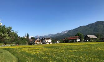 A picturesque landscape with a green field full of flowers and snow-covered mountains in the background. In the foreground, there are some traditional houses visible.