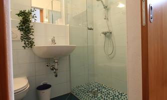 A modern bathroom with a glass shower and a bright tiled wall. In the corner, there is a small plant, and the floor is designed with colorful tiles.