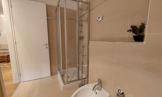 A modern bathroom with a shower and a bidet. Bright tiles and a small plant give the room an inviting atmosphere.