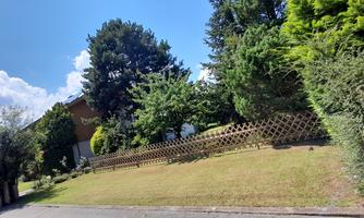A well-kept garden with various trees and shrubs. The sky is clear and the sun is shining.