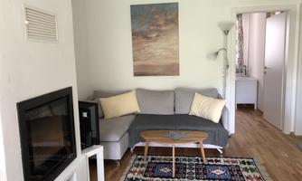 A cozy living room with a gray sofa, a wooden table, and a colorful rug. A picture hangs on the wall and the room has large windows with curtains.