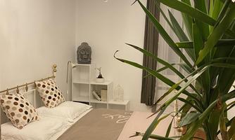 A cozy bedroom with a large bed and a modern chandelier. In the foreground, there is a green plant that gives the room a fresh atmosphere.