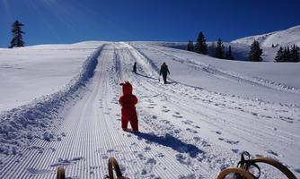 A child in a red suit stands in the snow and looks at a hill. In the background, more people can be seen pulling a sled uphill.