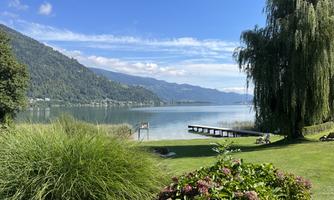 A peaceful lake with green shores and gentle hills in the background. Bushes and trees surround the area, ideal for relaxation in nature.