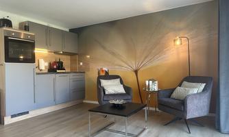 A modern living kitchen with gray furniture and a cozy seating area. The wall is adorned with stylish decor that creates a relaxing atmosphere.