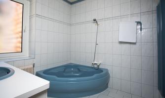 A bathroom with blue tiles and a round whirlpool. The walls are light tiled and there is a shower with a showerhead.