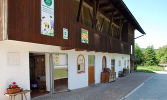 A traditional farmhouse with wooden cladding and an entrance. In front of the house, there are some flowers and furniture placed.