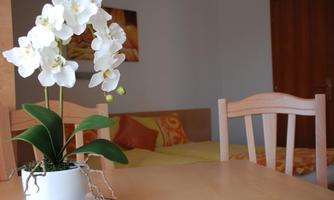 A beautiful table with a white orchid in a pot. In the background, a cozy room with a sofa and colorful cushions can be seen.