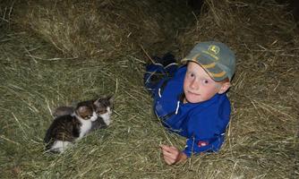 A boy is lying in hay and smiling at the camera. Next to him are two kittens.