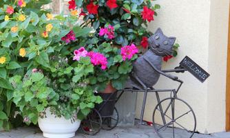 A curious metal cat sits on a bicycle holding a sign that says "Welcome". Surrounded by colorful flowers in pots.