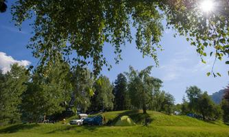 A beautiful campsite surrounded by trees and green spaces. In the background, tents and a car can be seen, while the sun shines brightly.
