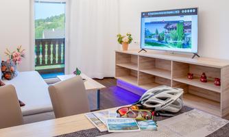 A modern living room with a sofa, a table, and a television. On the table are sunglasses and brochures, while outside, nature is visible.