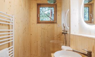 A bright bathroom with wood paneling. It is equipped with a shower, a modern sink, and a large mirror.
