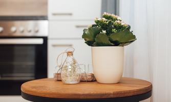 A round wooden table with a white flower drum and a plant. Next to the plant stands a decorative bottle.