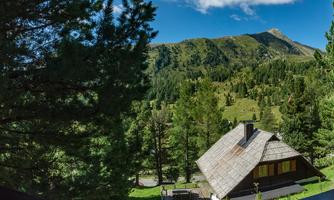 A view of green mountains and forests from a window. In the foreground, a traditional wooden house can be seen.