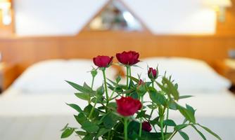 A beautiful bouquet of red roses is in the foreground. In the background, two beds can be seen in a cozy room.