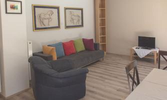 A cozy living room with a gray sofa and colorful cushions. Two pictures are hanging on the wall, and a television is on a table.