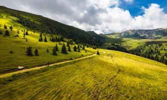 A green meadow landscape with gentle hills and scattered trees. The sky is partly cloudy, creating a tranquil atmosphere.