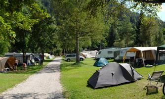 A campsite with several tents and caravans in a green environment. The path is lined with trees and the atmosphere is welcoming and relaxed.