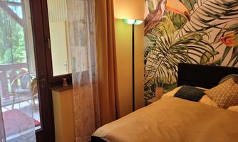 A cozy bedroom with a bed and a colorful wallpaper of tropical plants. Daylight streams in through a window, revealing a beautiful view.