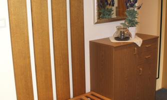 An entrance area with wooden panels, multiple hooks, and a dresser. A mirror and a small shelf with a plant complement the furnishings.