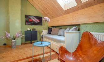A cozy room with wooden floors and skylights. In the background, there is a TV with the Netflix logo, and there is a couch and a small table.