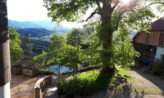 A beautiful garden with plenty of greenery and a large tree. In the background, gentle hills and a clear sky can be seen.