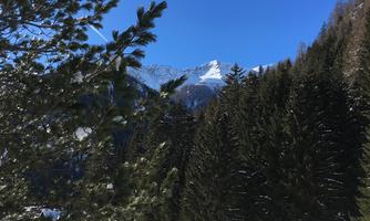A wintry landscape with snow-covered trees and mountains in the background. The sky is clear and blue.