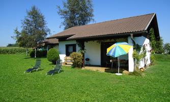 A cozy holiday home surrounded by green grass and trees. In front of the house are loungers and a sun umbrella.