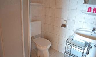 A small bathroom with a toilet and a sink. The walls are tiled and there are some shelves and a rack.