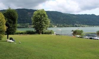 A tranquil lake with green grass and gentle hills in the background. Some boats are moored at the shore, and there is a tree providing shade.