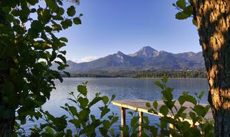 A tranquil lake with a wooden pier and mountains in the background. Surrounded by green leaves and clear blue sky.