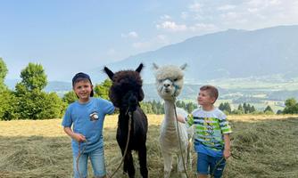 Two children are standing in a meadow with alpacas. In the background, mountains and a clear sky are visible.