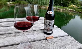Two glasses of red wine are standing on a wooden walkway next to a bottle of wine. In the background, there is a calm pond and green plants visible.
