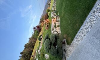 A well-kept garden with colorful plants and sculptural bushes. In the background, a green meadow stretches under a clear sky.