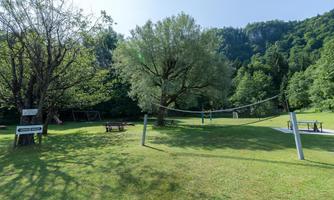 A green park with trees and a volleyball net setup. There are picnic benches and a relaxed atmosphere.