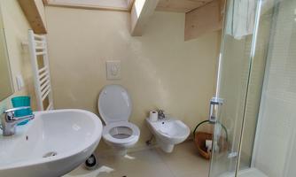 A modern bathroom with a shower, toilet, and sink. The skylight lets in a lot of light and creates a bright atmosphere.