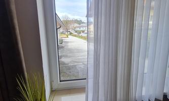 A window with a view of the street and surroundings. In front of the window, there is a small plant on a table.