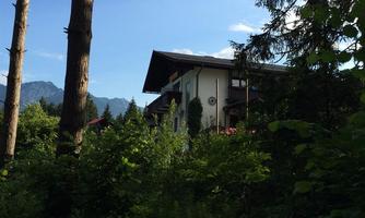 A house stands among tall trees and dense greenery. In the background, mountains and a blue sky can be seen.