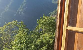 A window with a view of green trees and majestic mountains. The sky is clear and blue.